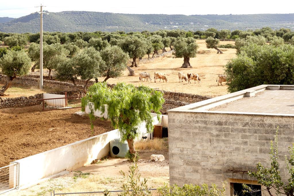 Masseria Curatori *