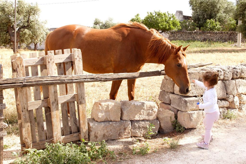 Masseria Curatori *